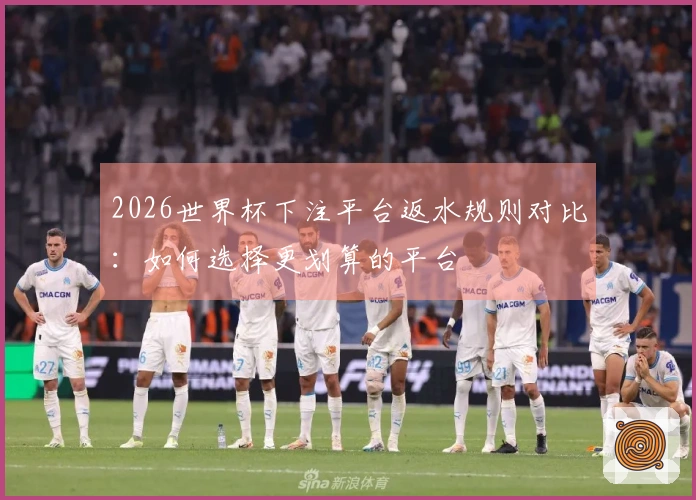 2026世界杯下注平台返水规则对比：如何选择更划算的平台