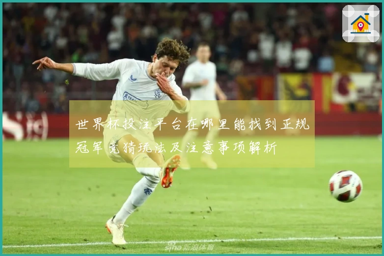 世界杯投注平台在哪里能找到正规冠军竞猜玩法及注意事项解析