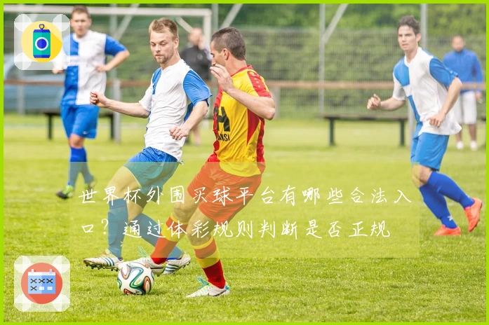世界杯外围买球平台有哪些合法入口？通过体彩规则判断是否正规
