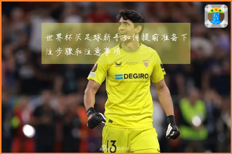 世界杯买足球新手如何提前准备下注步骤和注意事项