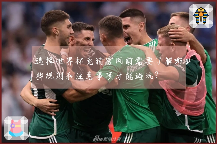 选择世界杯竞猜官网前需要了解哪些规则和注意事项才能避坑？