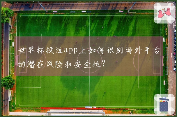 世界杯投注app上如何识别海外平台的潜在风险和安全性？