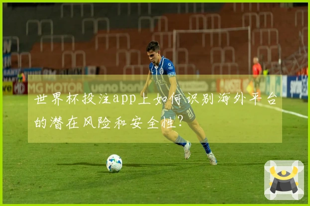 世界杯投注app上如何识别海外平台的潜在风险和安全性？
